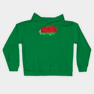 Flag of Belarus Kids Hoodie